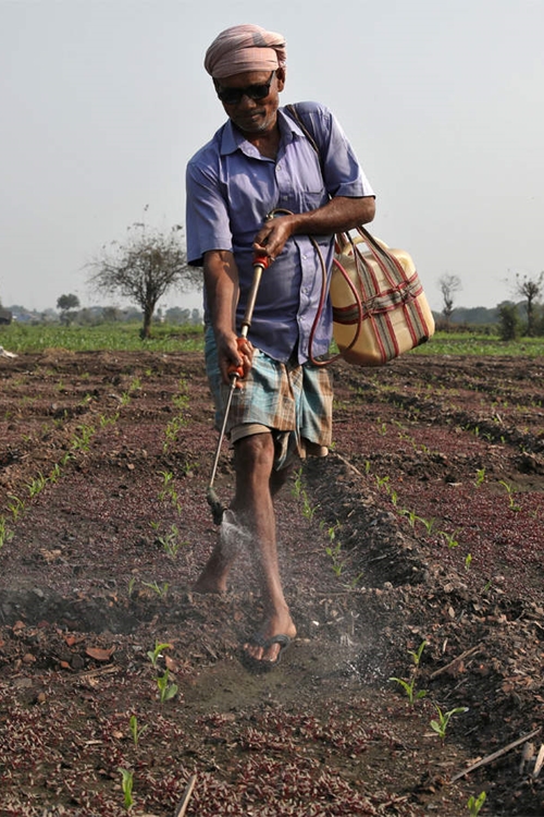 Farmer Veg