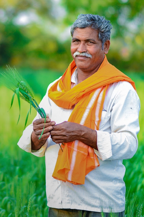 Farmer Veg